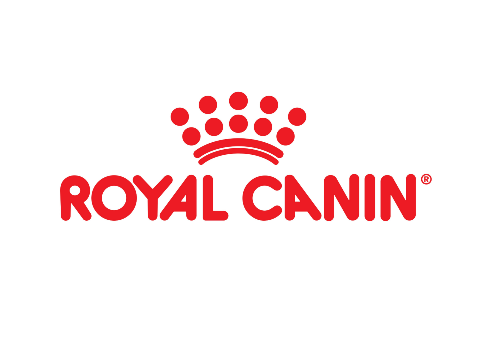 Royal Canin Adult Large Dog Köpek Maması 13 kg  Büyük Irklar İçin Dengeli Enerji & Kas Koruması