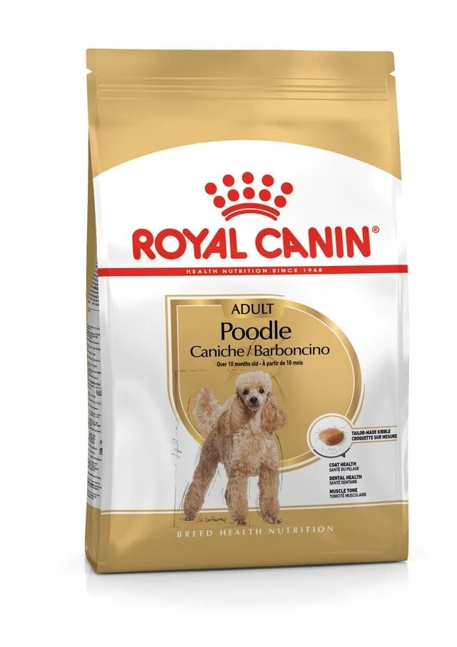 Royal Canin Adult Poodle Köpek Maması 3 kg – Poodle Irkı İçin Tüy & Deri Desteği