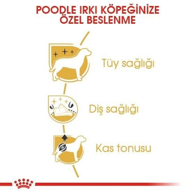 Royal Canin Adult Poodle Köpek Maması 3 kg – Poodle Irkı İçin Tüy & Deri Desteği