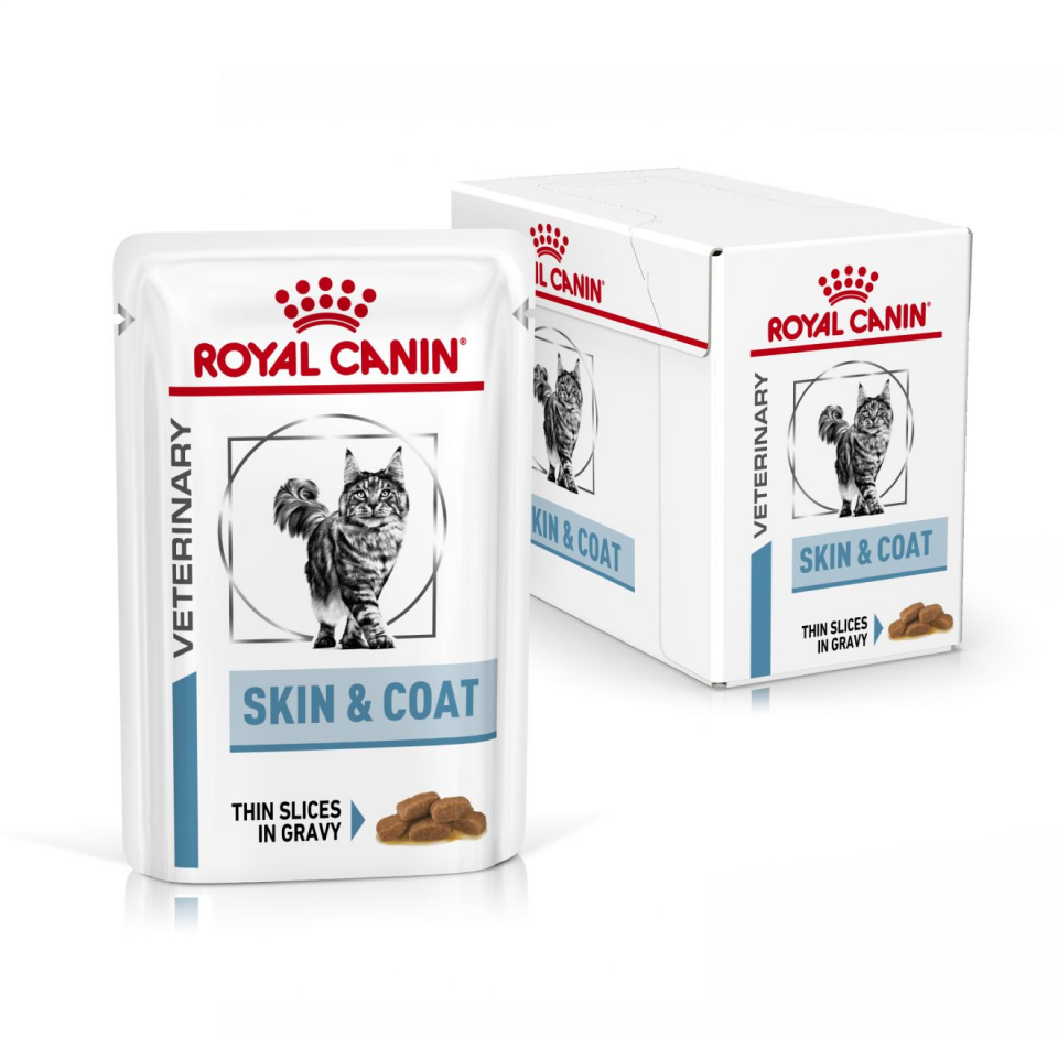 Royal Canin Skin & Coat Kedi Maması 85 gr x 12 Adet Tüy ve Cilt Sağlığına Özel Yaş Mama