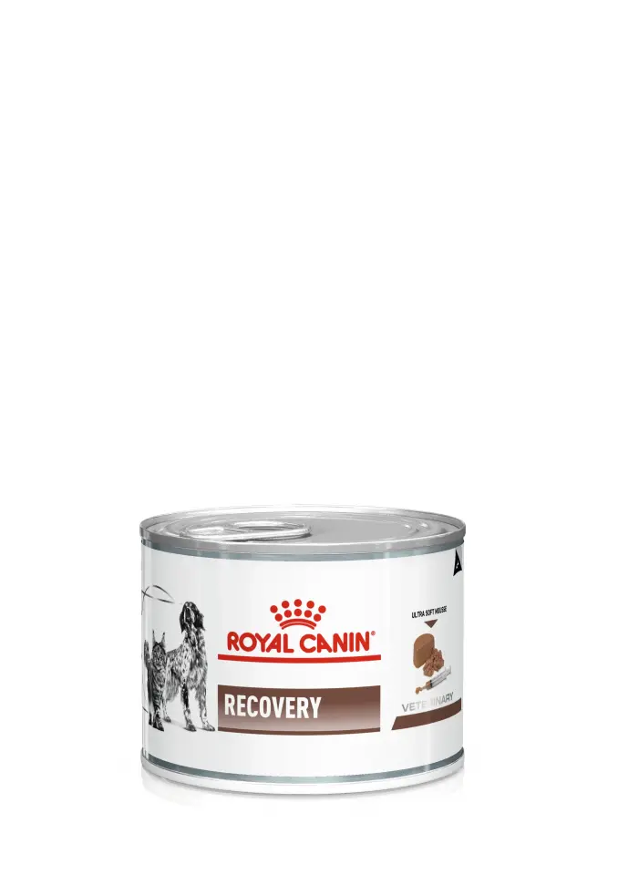Royal Canin Recovery Kedi & Köpek Maması 195gr Kedi ve Köpekler İçin Beslenme Desteği