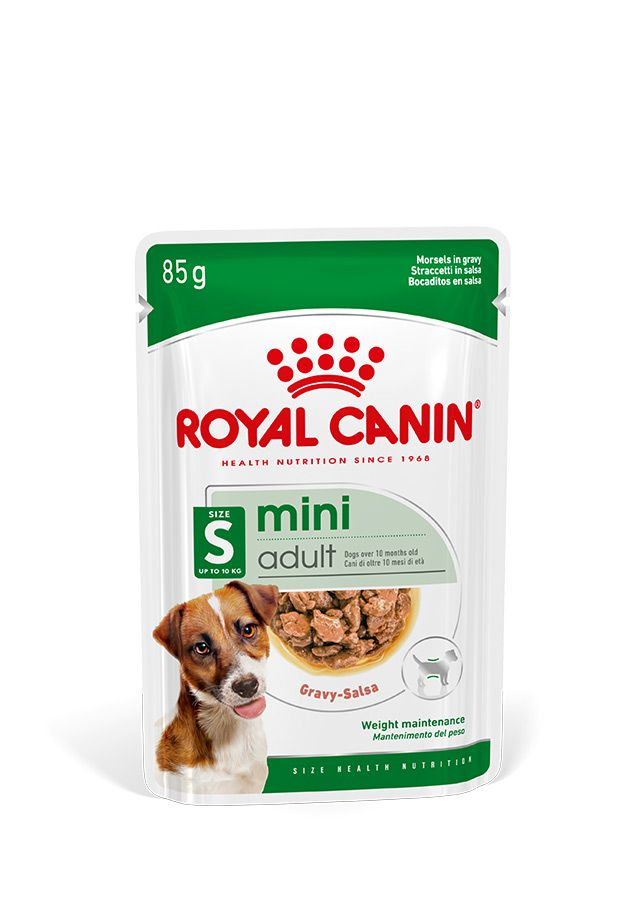 Royal Canin Mini Adult S Köpek Maması 85 gr x 12 Adet Mini Irk Yetişkin Köpekler İçin Tam ve Dengeli Beslenme
