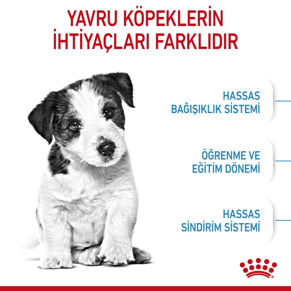 Royal Canin Mini Puppy Köpek Maması 2 kg Mini Irk Yavru Köpekler İçin Öğün Paketi