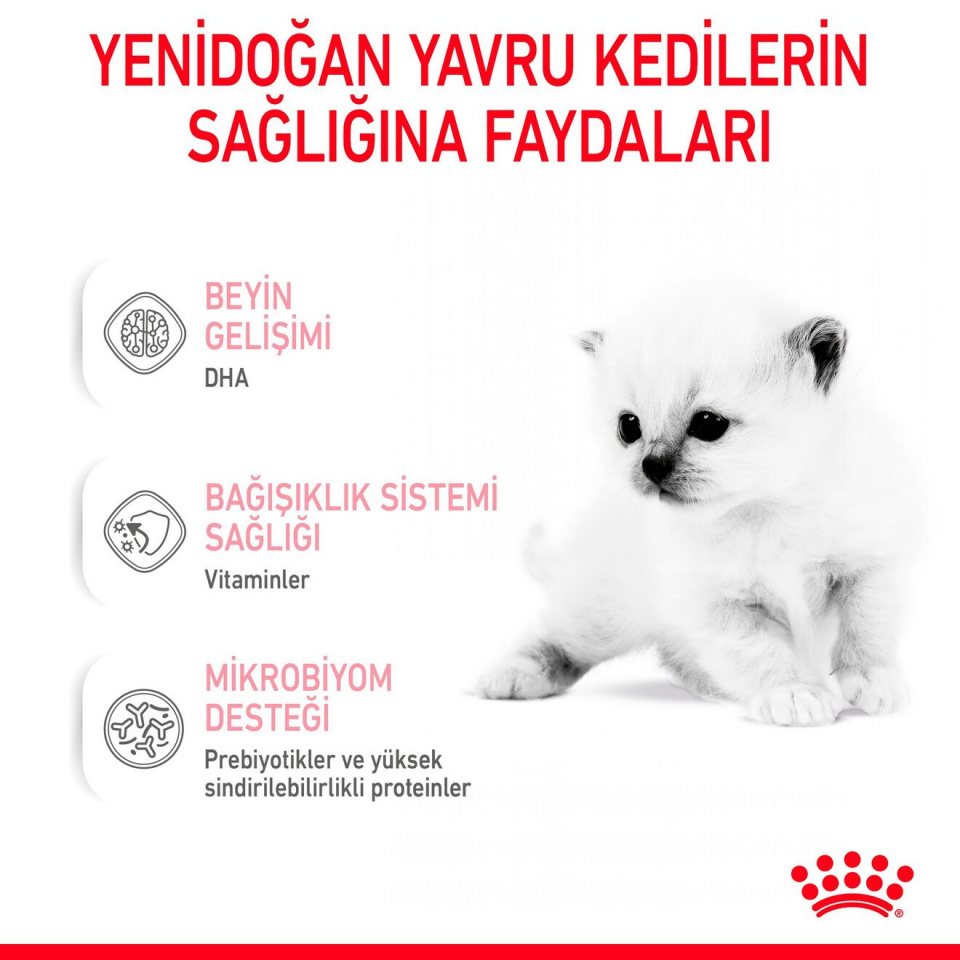 Royal Canin Babycat Milk Yavru Kedi Süt Tozu 300 gr Yavru Kediler İçin Süt ve Beslenme Desteği
