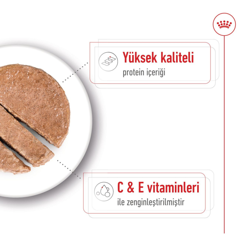 Royal Canin Medium Adult Köpek Maması 410 gr Orta Irk Yetişkin Köpekler İçin Konserve Mama