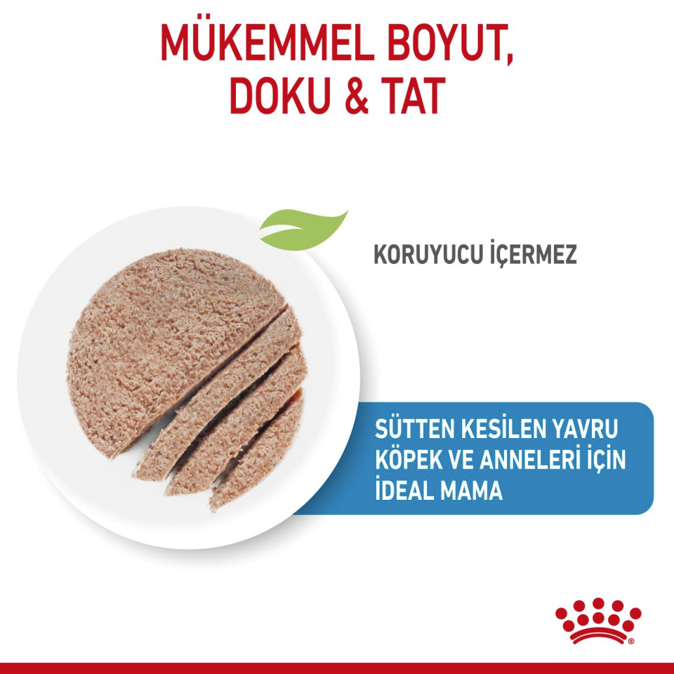 Royal Canin Starter Mousse Mother And Babydog Anne ve Yavru Köpek Yaş Maması 195 gr Anne ve Yavru Köpekler İçin Besleyici Yaş Mama