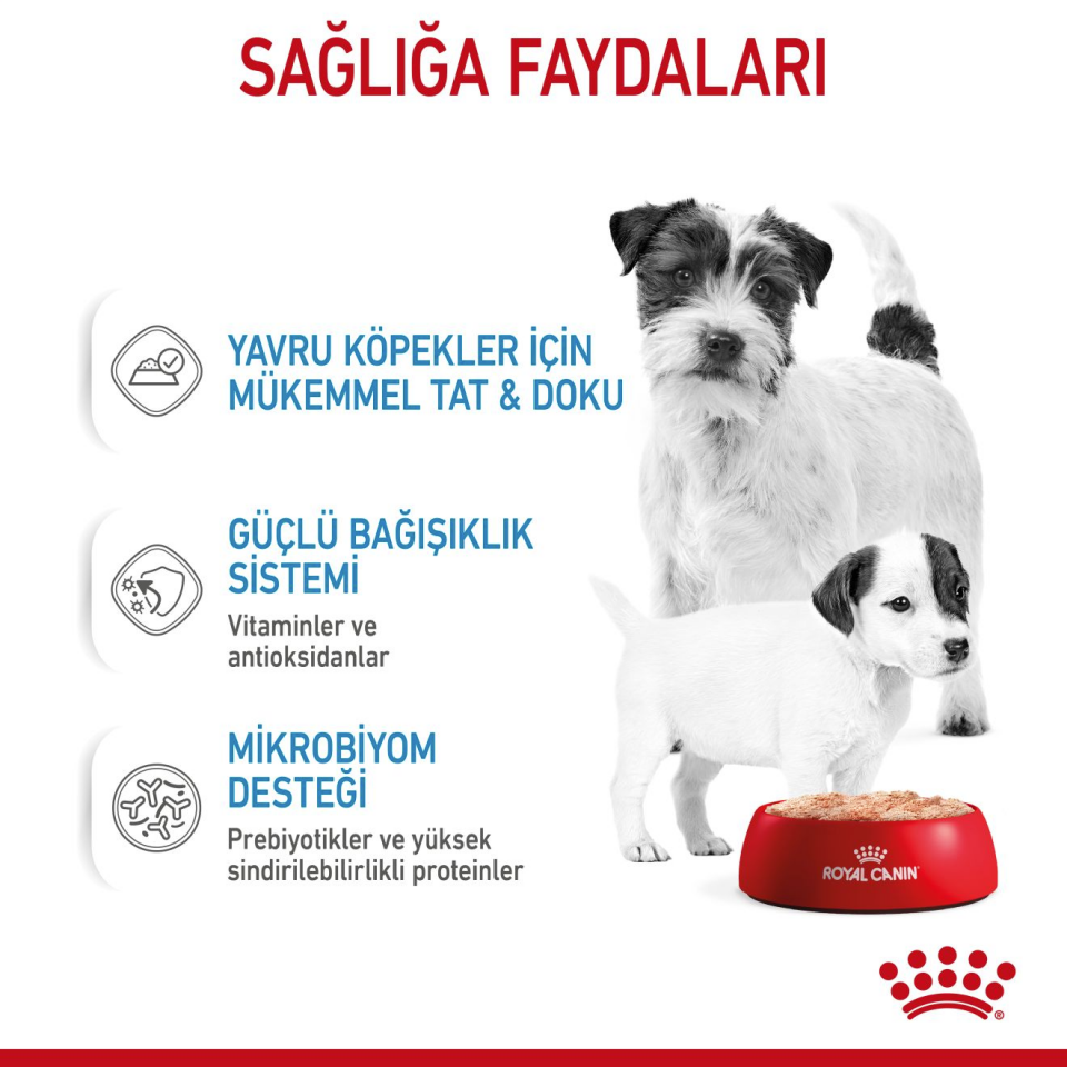 Royal Canin Starter Mousse Mother And Babydog Anne ve Yavru Köpek Yaş Maması 195 gr Anne ve Yavru Köpekler İçin Besleyici Yaş Mama