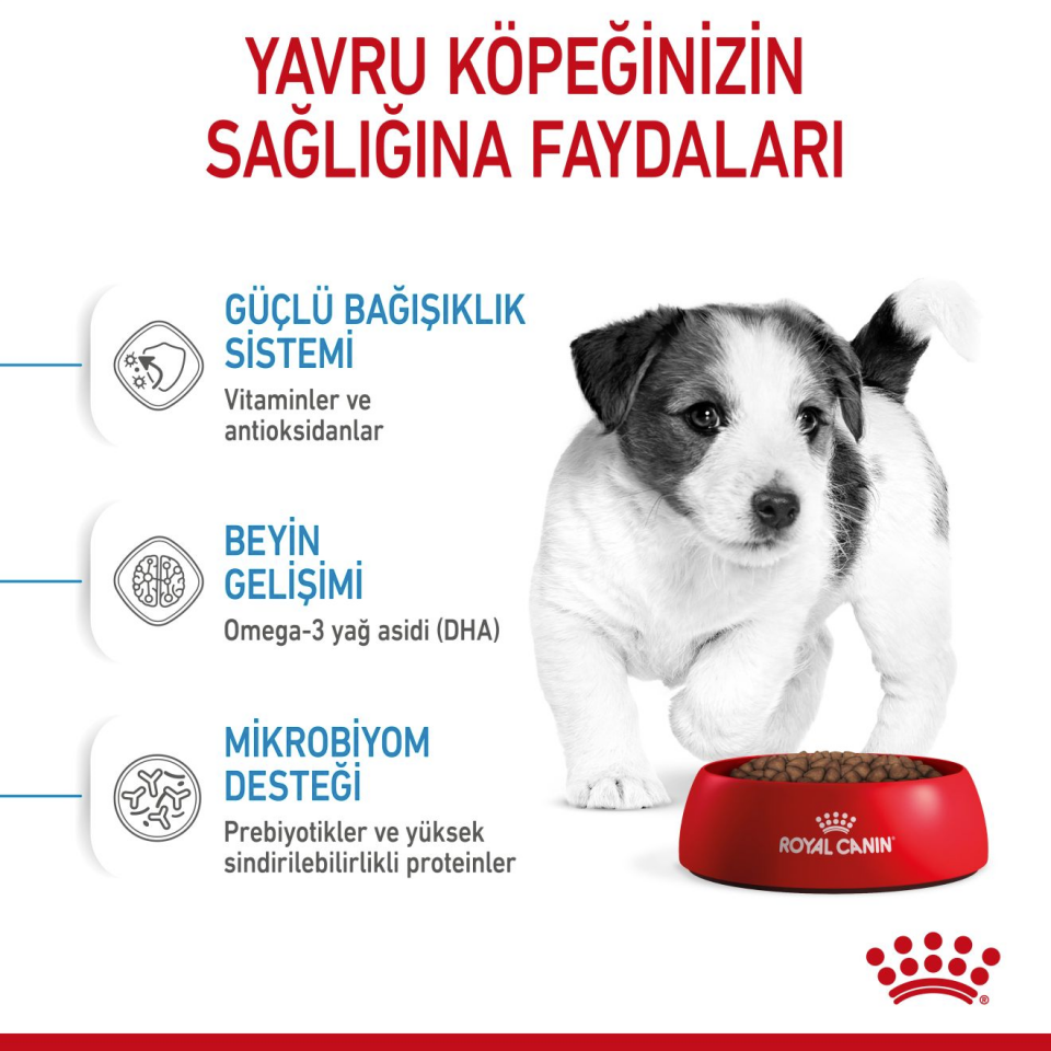 Royal Canin Mini Puppy Köpek Maması 4 kg Mini Irk Yavru Köpekler İçin Öğün Paketi