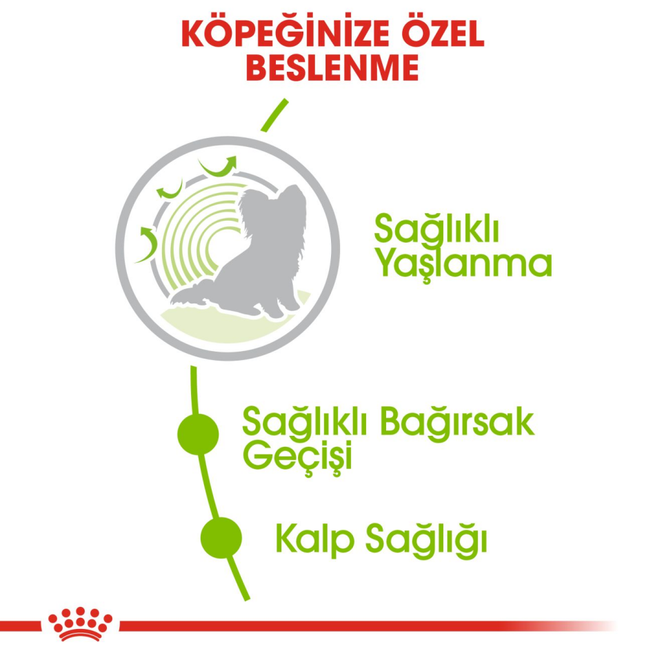 Royal Canin Xsmall Ageing Köpek Maması 1,5 kg Mini Irk Yaşlı Köpekler İçin Özel Beslenme Desteği