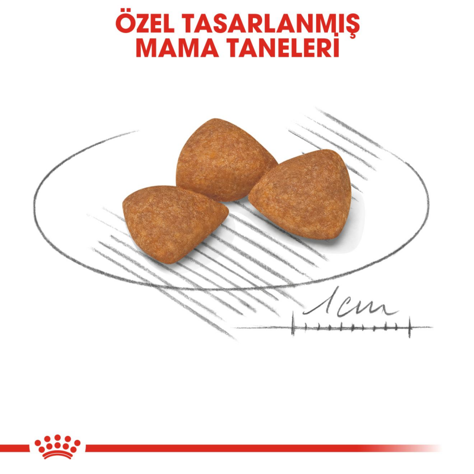 Royal Canin Xsmall Ageing Köpek Maması 1,5 kg Mini Irk Yaşlı Köpekler İçin Özel Beslenme Desteği