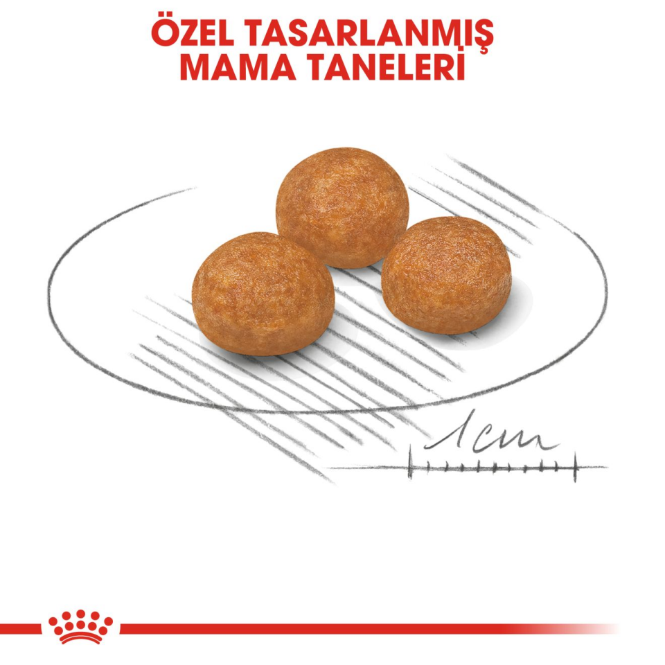Royal Canin Xsmall Adult Köpek Maması 3 kg Küçük Irk Yetişkin Köpek Maması