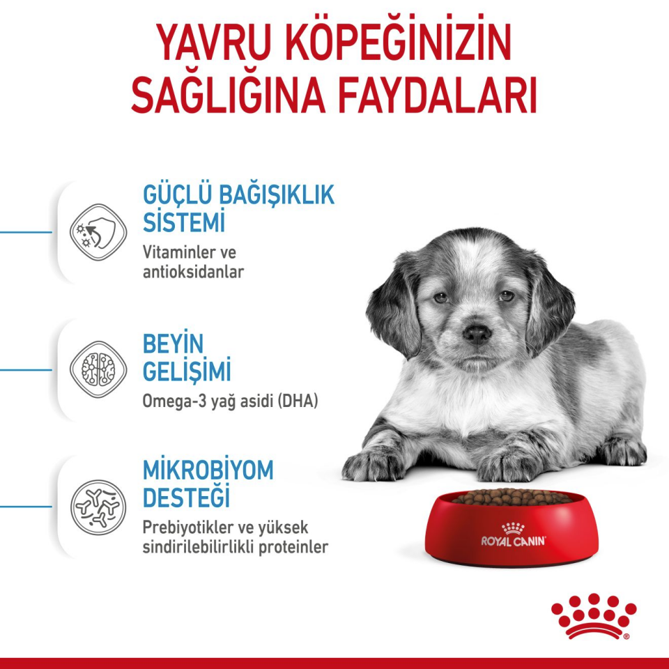 Royal Canin Medium Puppy Köpek Maması 4 kg Orta Irk Yavru Köpek Maması