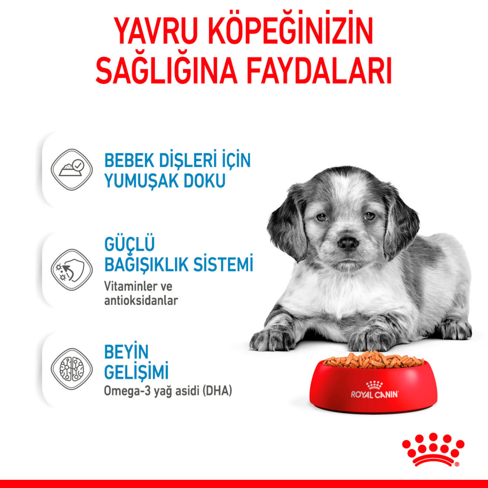 Royal Canin Medium Puppy Köpek Maması 140 gr x 10 Adet Orta Irk Yavru Köpek Maması