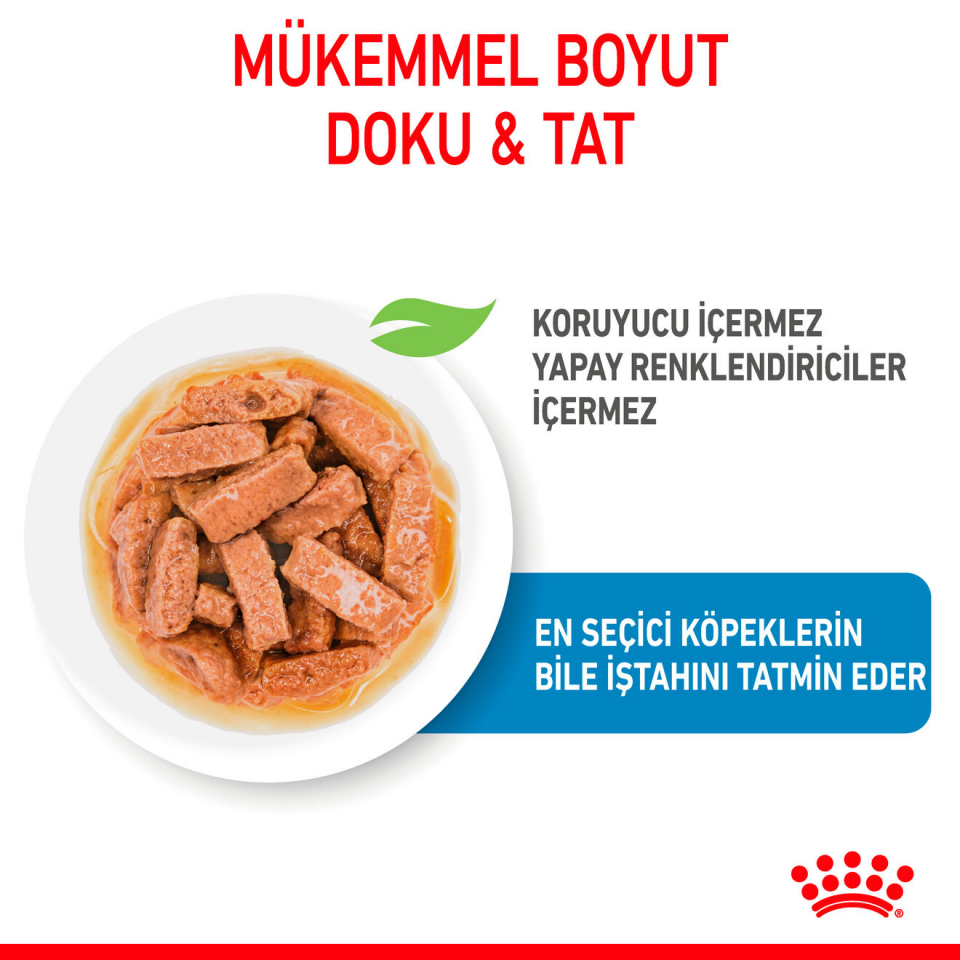 Royal Canin Maxi Puppy Köpek Maması 140 gr x 10 Adet  Büyük Irk Yavru Köpek Maması Sağlıklı Büyüme ve Kemik Desteği