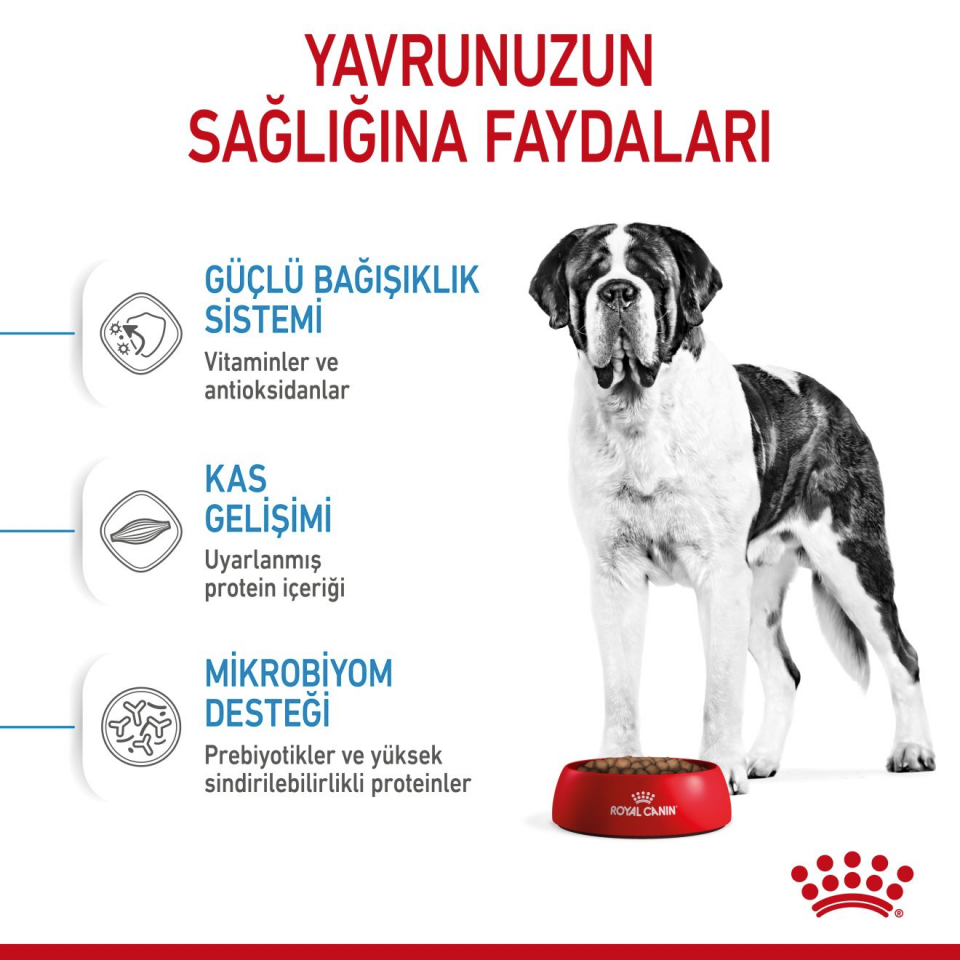 Royal Canin Giant Junior Köpek Maması 15 kg Dev Irk Yavru Köpek Maması Sağlıklı Büyüme ve Kemik Desteği