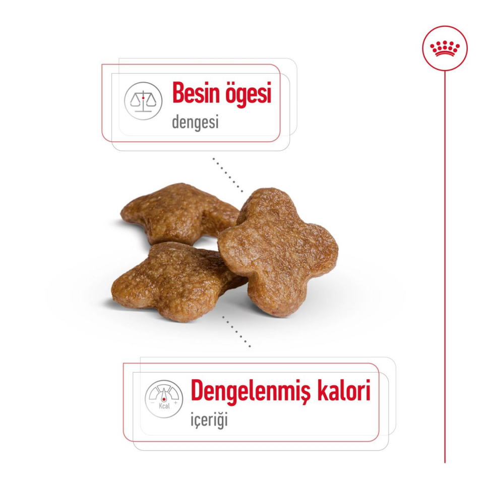Royal Canin Mini Adult  Köpek Maması 2 kg Küçük Irk Yaşlı Köpek Maması Sindirim ve Bağışıklık Desteği