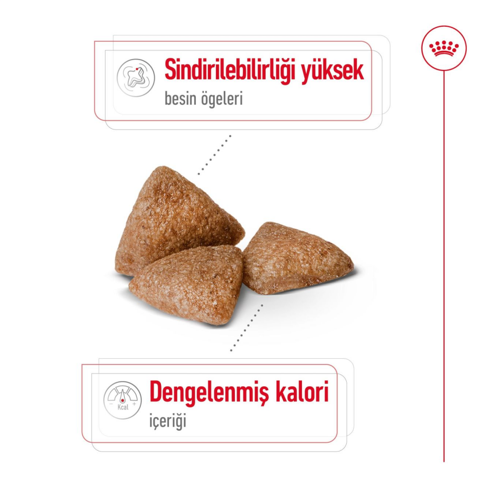 Royal Canin Mini Indoor Adult Köpek Maması 1,5 kg Küçük Irk Evde Yaşayan Yetişkin Köpekler İçin Mama