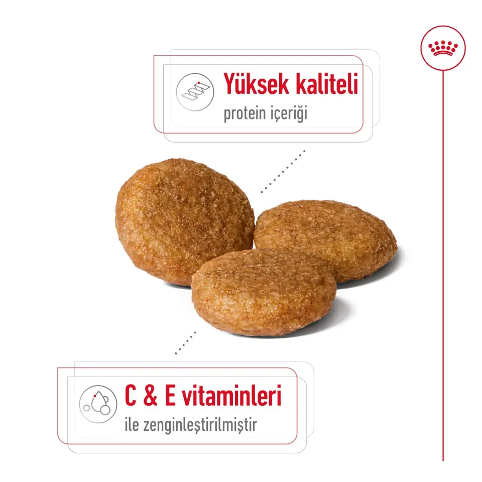 Royal Canin Medium Adult Köpek Maması 15 kg Orta Irk Yetişkin Köpekler İçin Mama