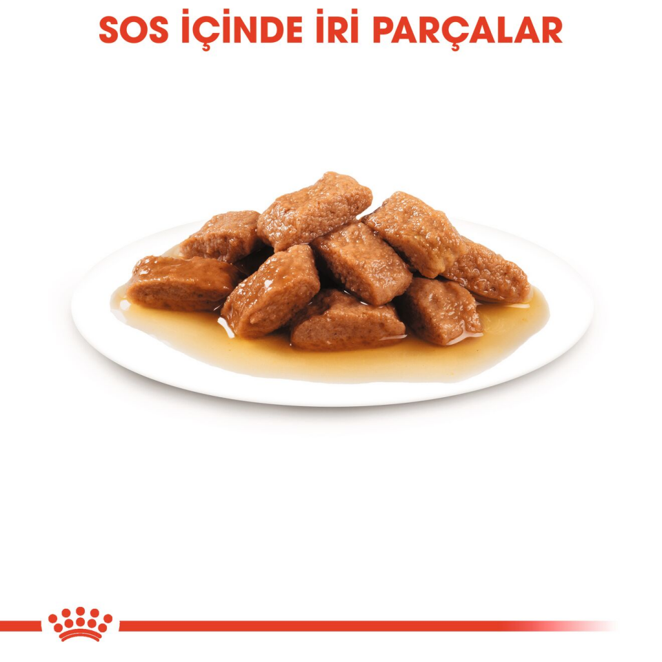 Royal Canin Medium Adult Köpek Maması 140 gr x 10 Adet Orta Irk Yetişkin Köpekler İçin Yaş Mama