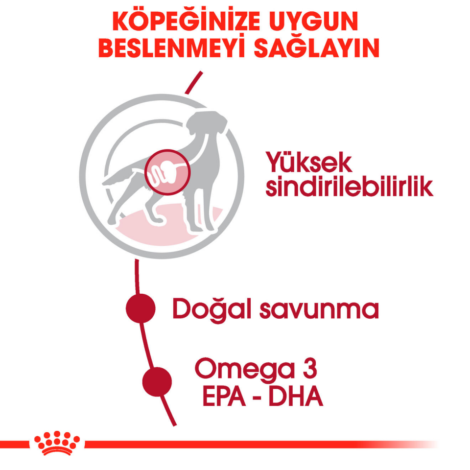 Royal Canin Medium Adult Köpek Maması 140 gr x 10 Adet Orta Irk Yetişkin Köpekler İçin Yaş Mama