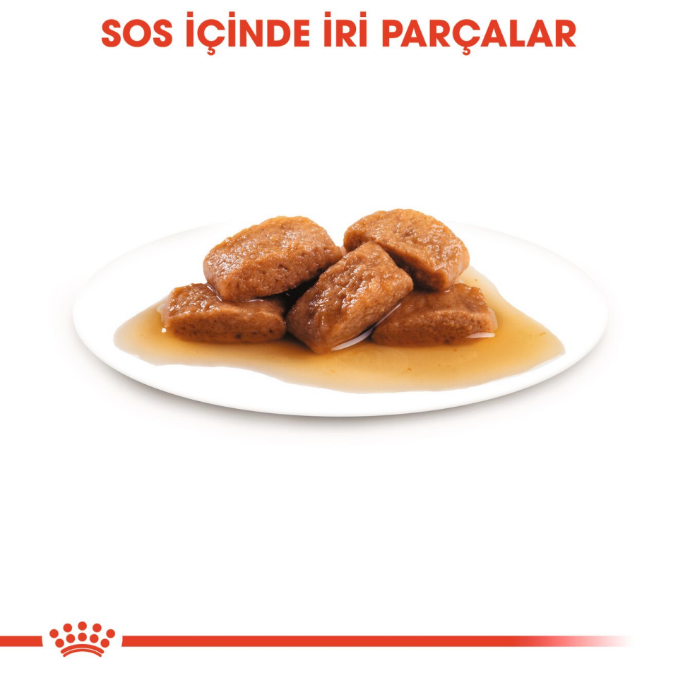 Royal Canin Maxi Adult Köpek Maması 140 gr x 10 Adet Büyük Irk Yetişkin Köpekler İçin Konserve Mama