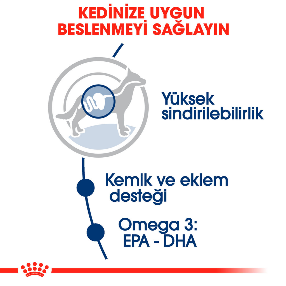 Royal Canin Maxi Adult Köpek Maması 140 gr x 10 Adet Büyük Irk Yetişkin Köpekler İçin Konserve Mama