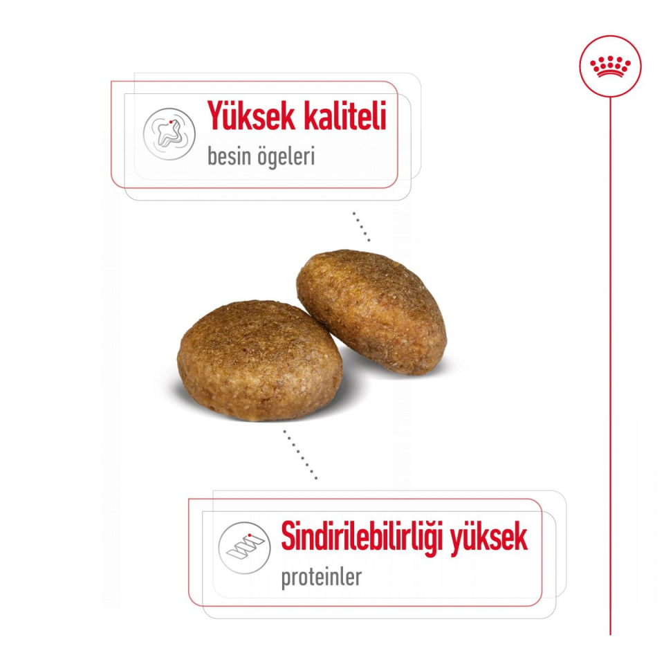 Royal Canin Maxi Adult Köpek Maması 15 kg Büyük Irk Yetişkin Köpekler İçin Kuru Mama