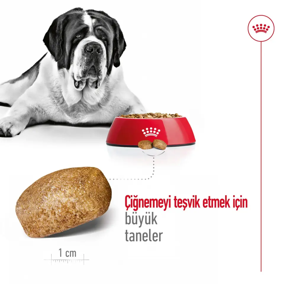Royal Canin Giant Adult Köpek Maması 15 kg Dev Irk Yetişkin Köpekler İçin Mama