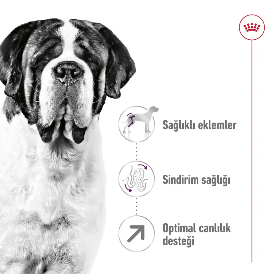 Royal Canin Giant Adult Köpek Maması 15 kg Dev Irk Yetişkin Köpekler İçin Mama