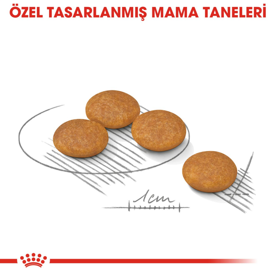 Royal Canin CCN Mini Dermacomfort Köpek Maması 3 kg Mini Irklar İçin Deri ve Tüy Sağlığı Desteği