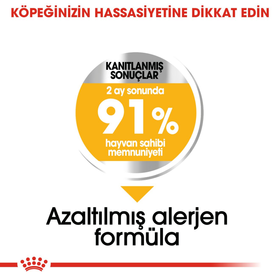 Royal Canin CCN Mini Dermacomfort Köpek Maması 3 kg Mini Irklar İçin Deri ve Tüy Sağlığı Desteği