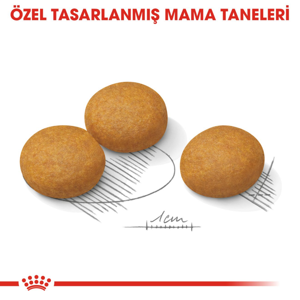 Royal Canin CCN Medium Dermacomfort Köpek Maması 12 kg Orta Irklar İçin Deri ve Tüy Sağlığı