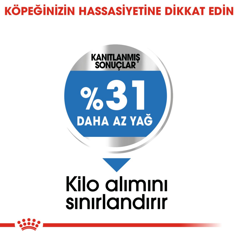 Royal Canin CCN Mini Light Weight Care Köpek Maması 3 kg Mini Irklar İçin Sağlıklı Kilo Kontrolü