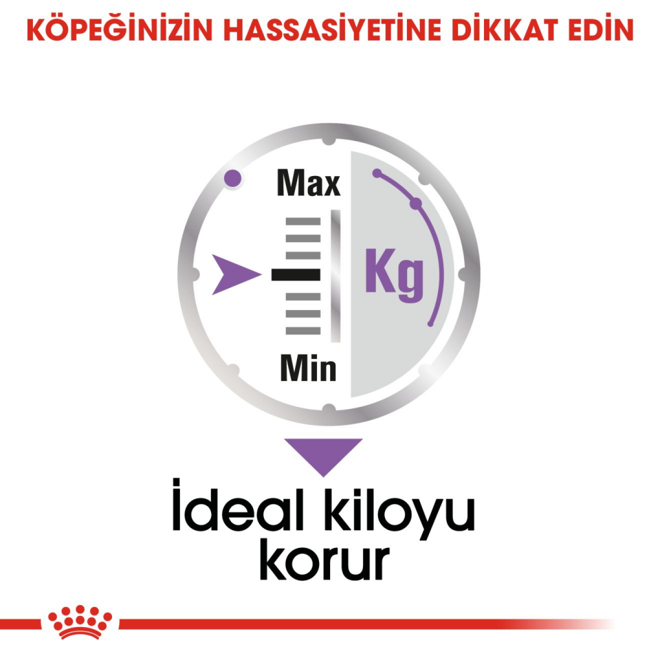 Royal Canin CCN Sterilised Köpek Maması 85 gr x 12 Adet Kısırlaştırılmış Yetişkin Köpekler İçin Beslenme Desteği