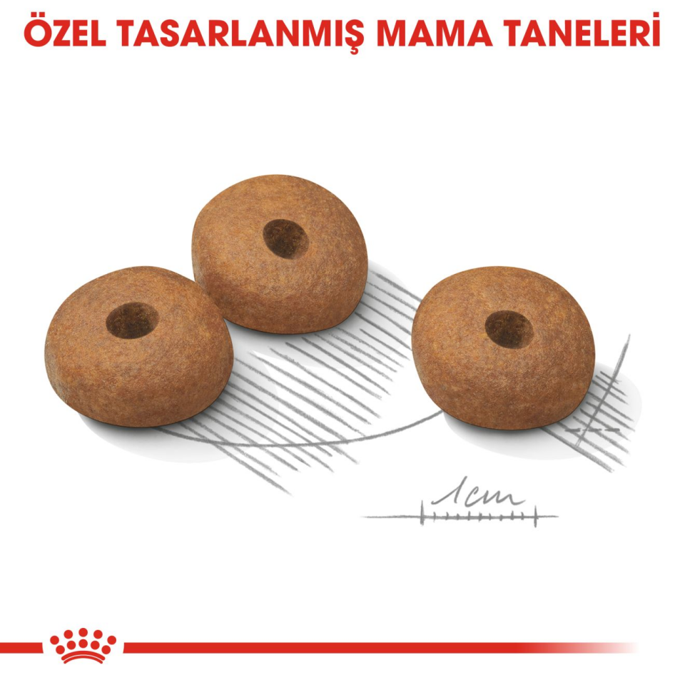 Royal Canin CCN Mini Sterilised Köpek Maması 3 kg Kısırlaştırılmış Mini Irklar İçin Tam ve Dengeli Beslenme