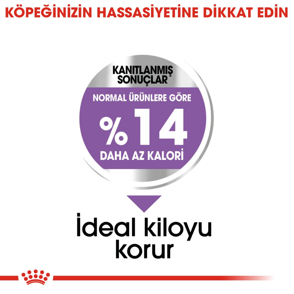 Royal Canin CCN Mini Sterilised Köpek Maması 3 kg Kısırlaştırılmış Mini Irklar İçin Tam ve Dengeli Beslenme