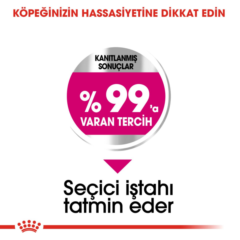 Royal Canin CCN Mini Exigent Köpek Maması 3 kg Seçici Mini Irk Köpekler İçin Özel Mama