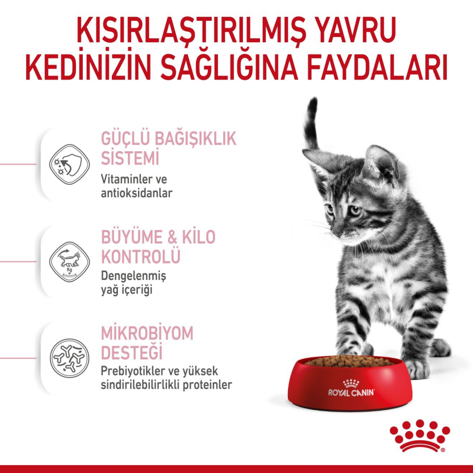 Royal Canin Kitten Sterilised Kedi Maması 2 kg Kısırlaştırılmış Yavru Kediler İçin Özel Mama
