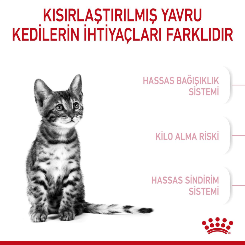 Royal Canin Kitten Sterilised Kedi Maması 2 kg Kısırlaştırılmış Yavru Kediler İçin Özel Mama