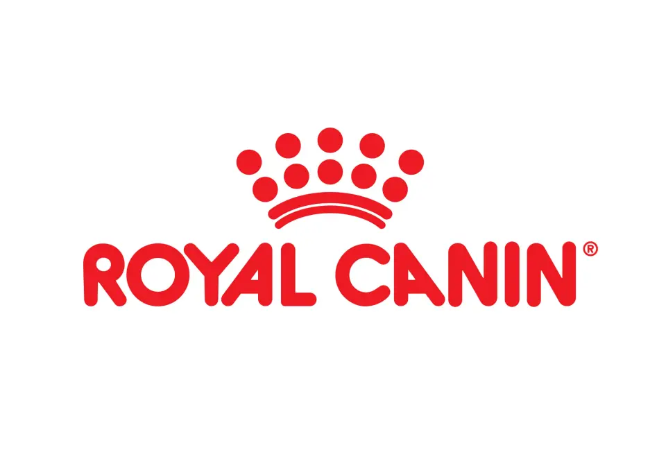 Royal Canin Kitten Sterilised Kedi Maması 2 kg Kısırlaştırılmış Yavru Kediler İçin Özel Mama