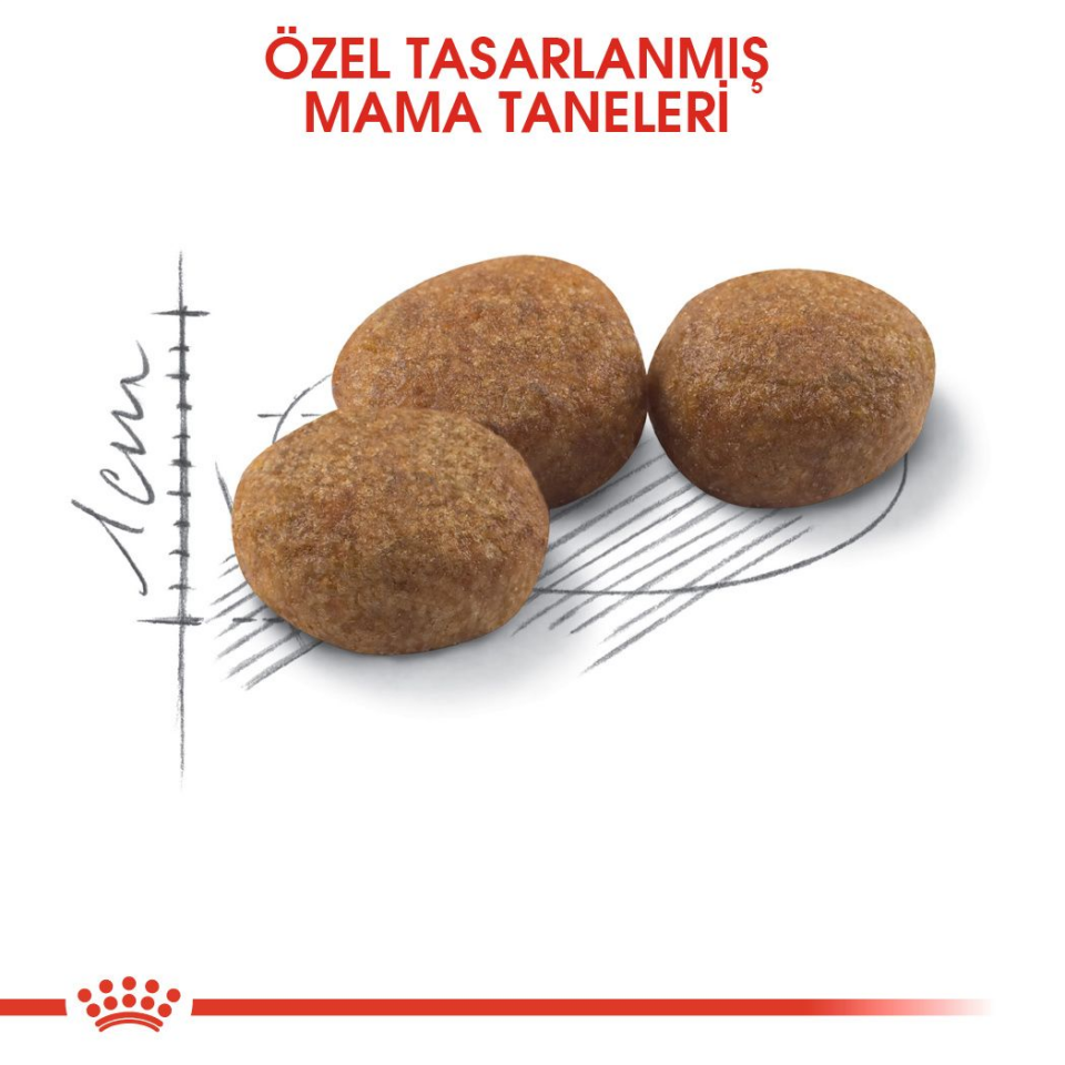 Royal Canin Sterilised 37 Kedi Maması 4 kg Yetişkin Kısır Kediler İçin Tam ve Dengeli Beslenme