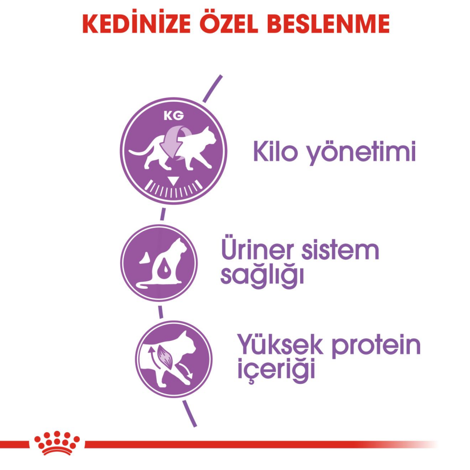 Royal Canin Sterilised 37 Kedi Maması 4 kg Yetişkin Kısır Kediler İçin Tam ve Dengeli Beslenme