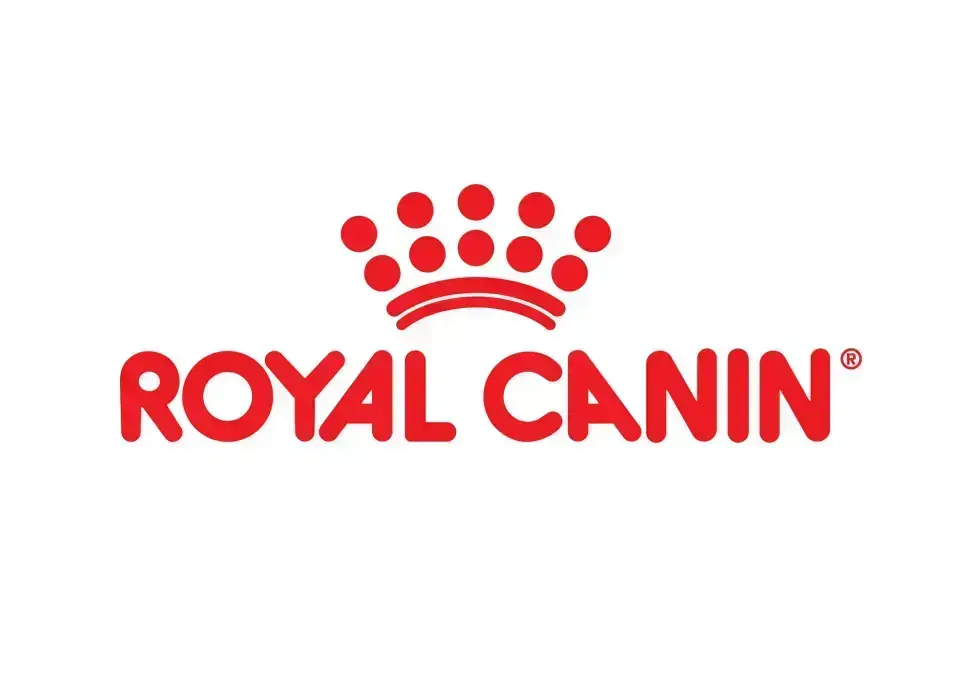 Royal Canin Sterilised 37 Kedi Maması 15 kg Yetişkin Kısır Kediler İçin Tam ve Dengeli Beslenme