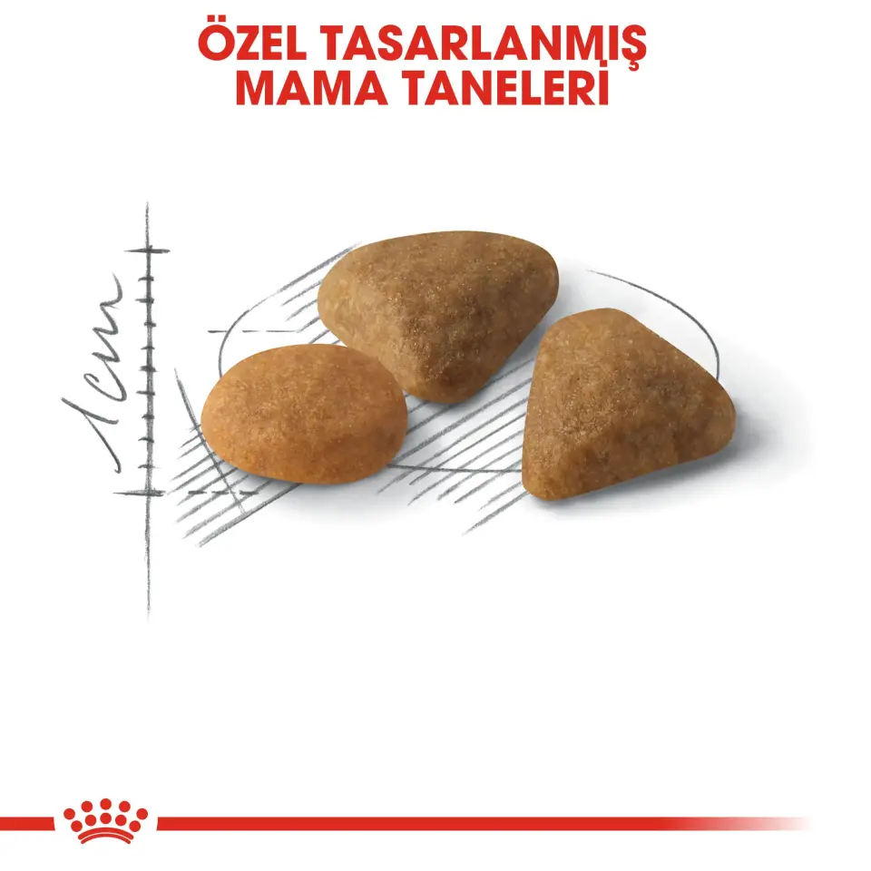 Royal Canin Savour Exigent Kedi Maması 400 gr Yetişkin Seçici Kediler İçin Tam ve Dengeli Beslenme