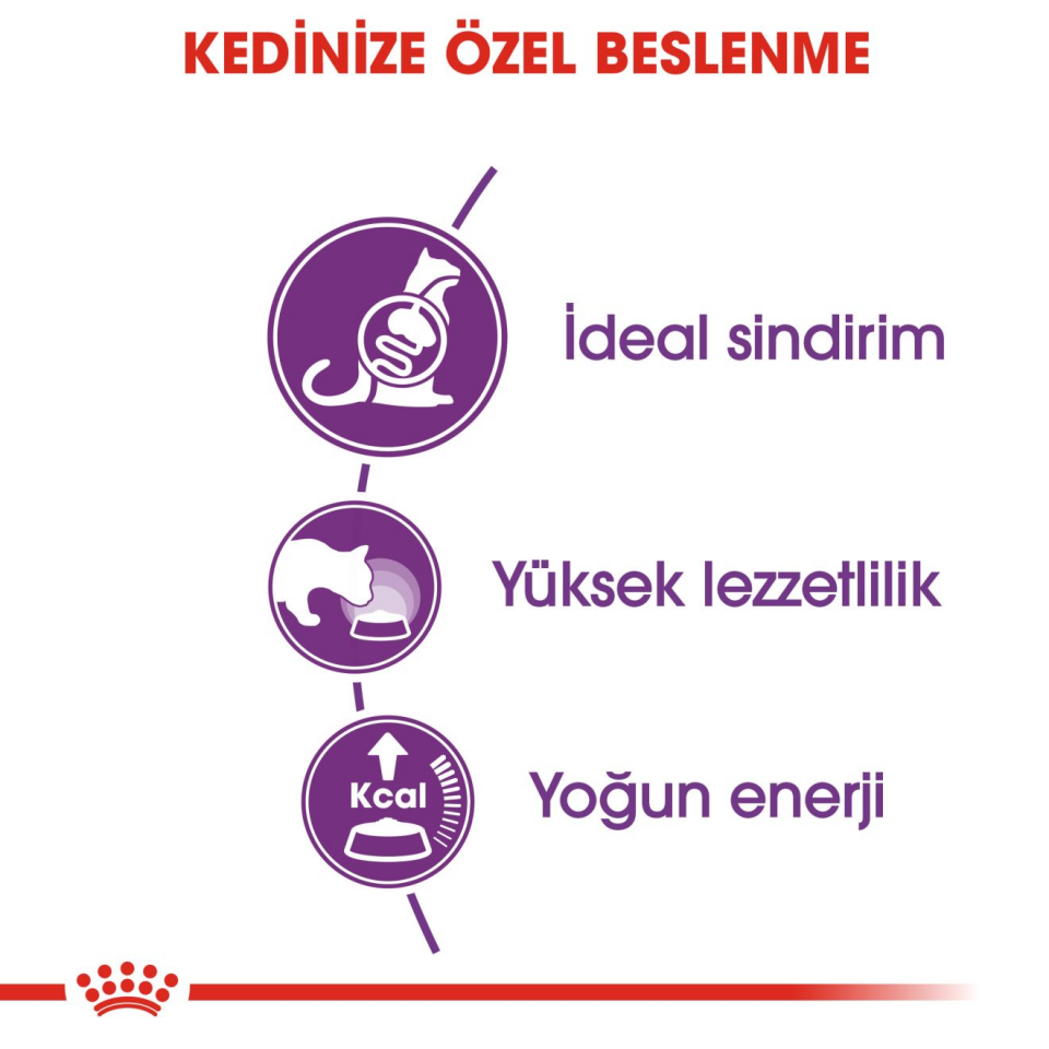 Royal Canin Sensible 33 Kedi Maması 400 gr Yetişkin Kediler İçin Hassas Sindirim ve Sağlıklı Beslenme Desteği