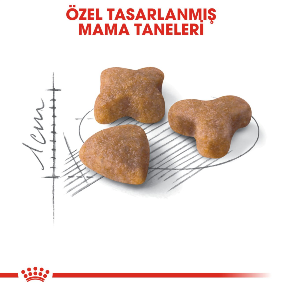 Royal Canin Sensible 33 Kedi Maması 400 gr Yetişkin Kediler İçin Hassas Sindirim ve Sağlıklı Beslenme Desteği