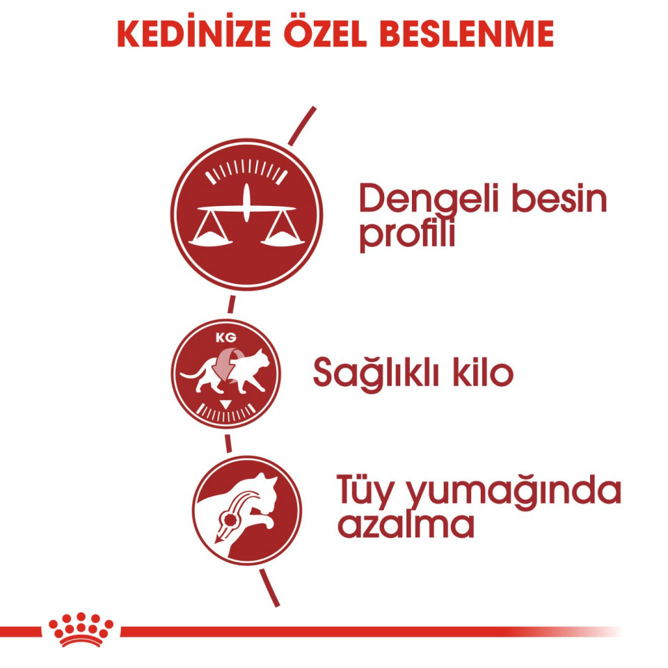 Royal Canin Fit 32 Kedi Maması 2 kg Yetişkin Kediler İçin Tam ve Dengeli Beslenme