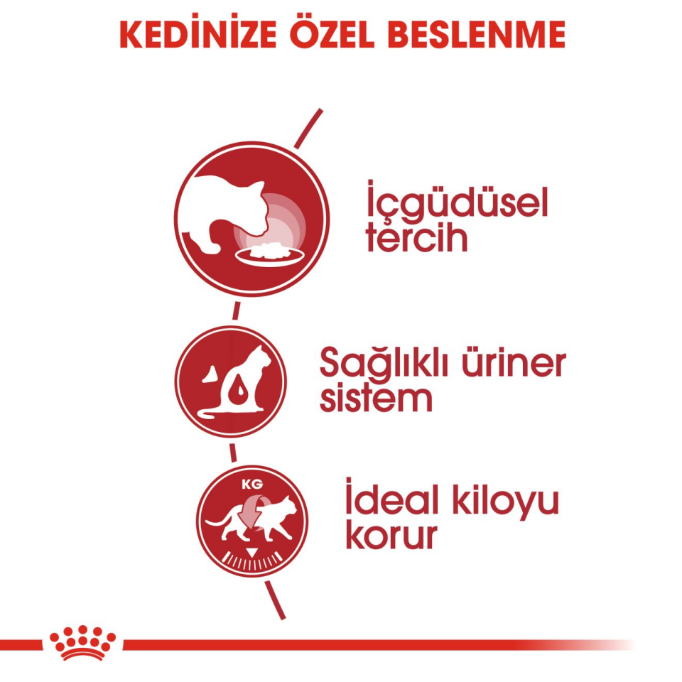 Royal Canin Instinctive Kedi Maması 85 gr x 12 Adet