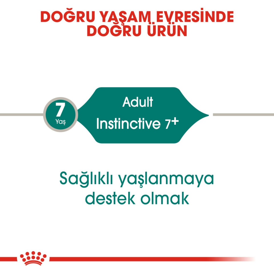 Royal Canin Instinctive Kedi Maması 85 gr x 12 Adet 12 Yaş ve Üzeri Kedi Maması