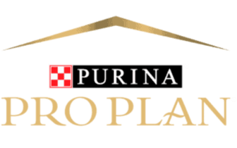 Profesyonel Beslenme Desteği